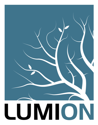 Lumion image
