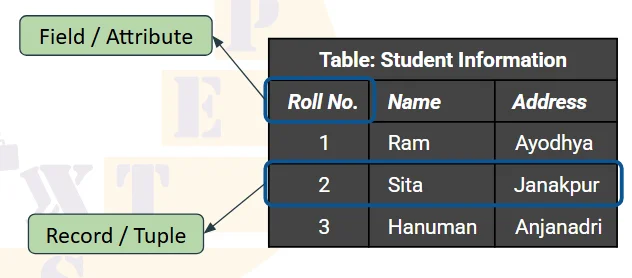 Attribute & Tuple