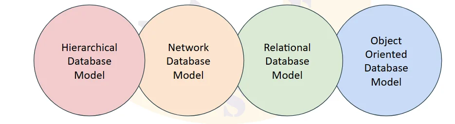 Database model