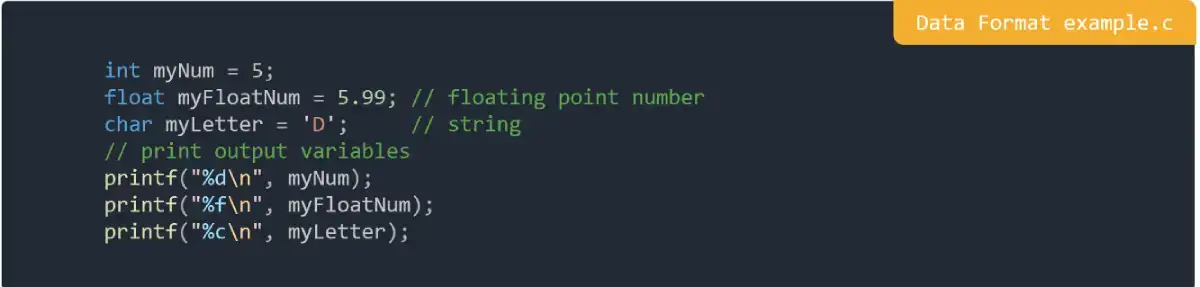 Data Format example in C Programming