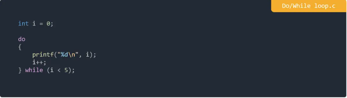 Do-While loop in C Programming