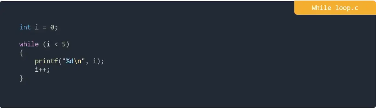 While loop in C Programming